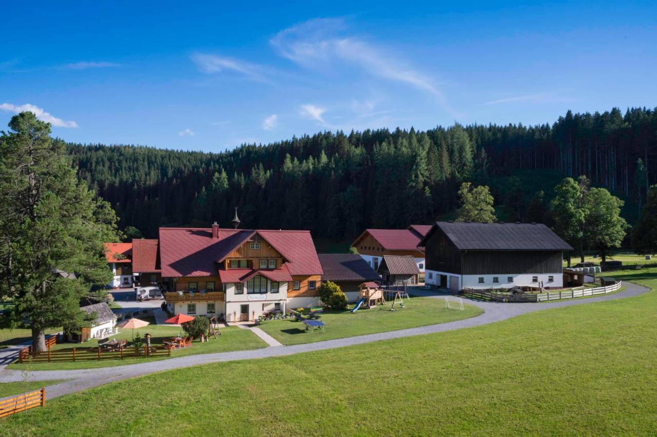 Villa Forsterhof Ramsau am Dachstein Exterior foto